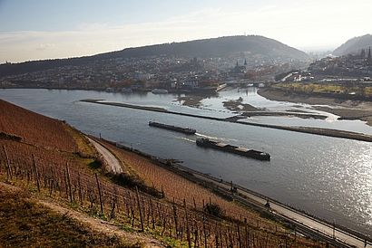 Rhein und Weinberge