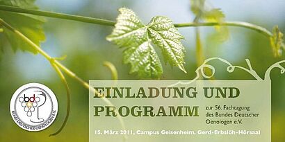 Einladung mit Bild einer Weinrebe