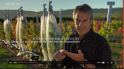 Ausschnitt aus dem Beitrag