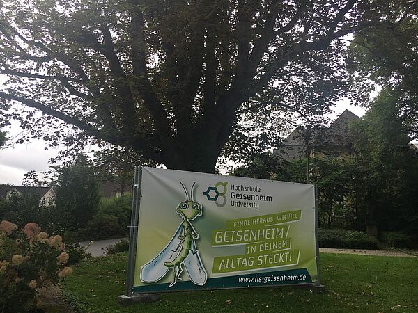Plakat ,,open campus"vor Baum stehend 