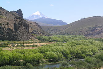 Flussaue in Patagonien (Foto: Leyer)