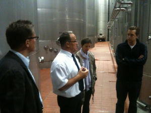 Männer im Weinkeller