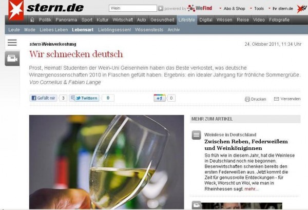 Bildschirmfoto der Stern-Seite