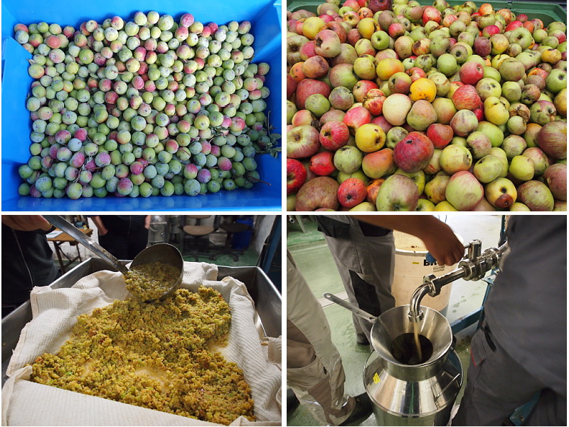 Hochschule Geisenheim