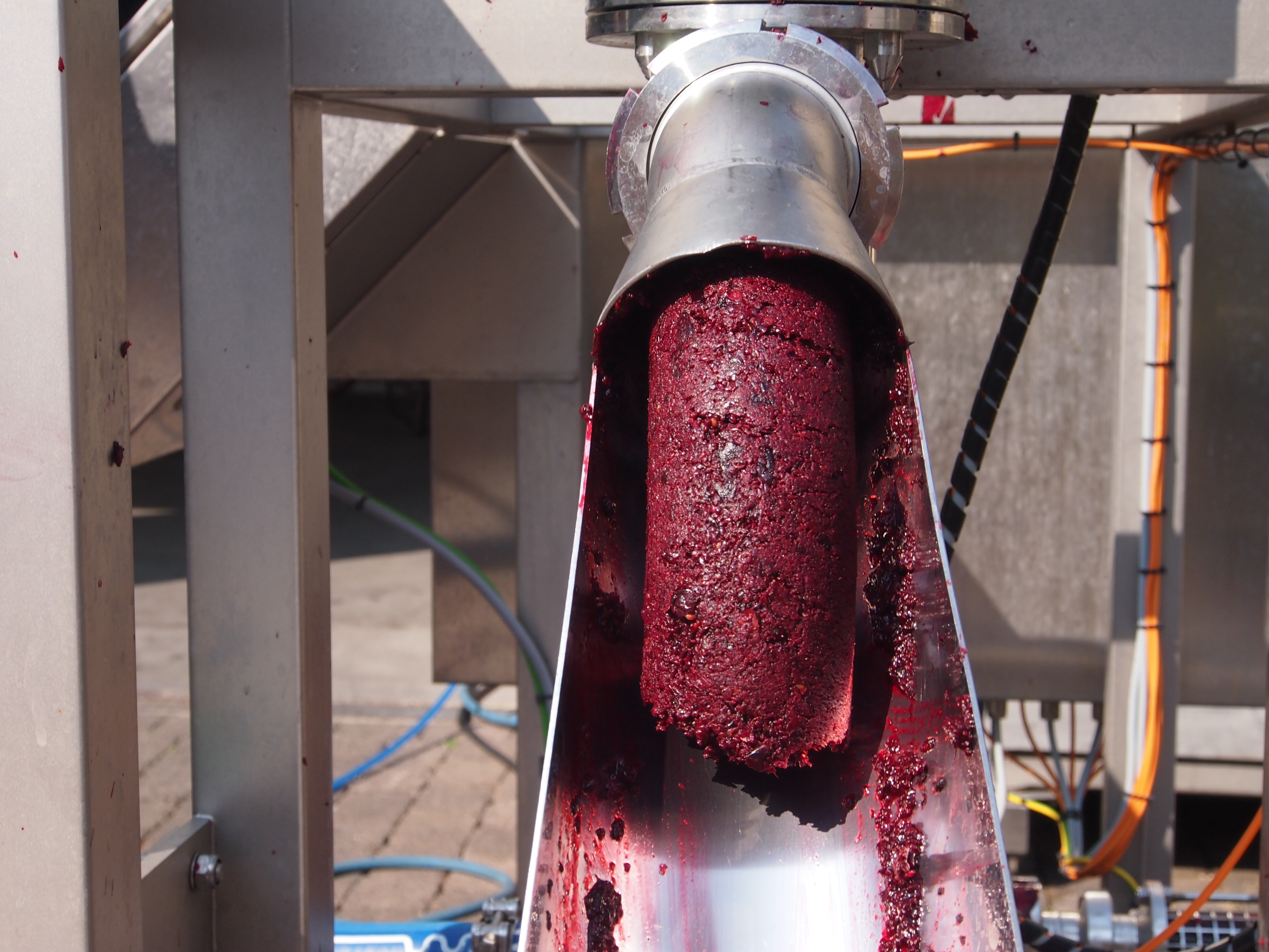 Hochschule Geisenheim