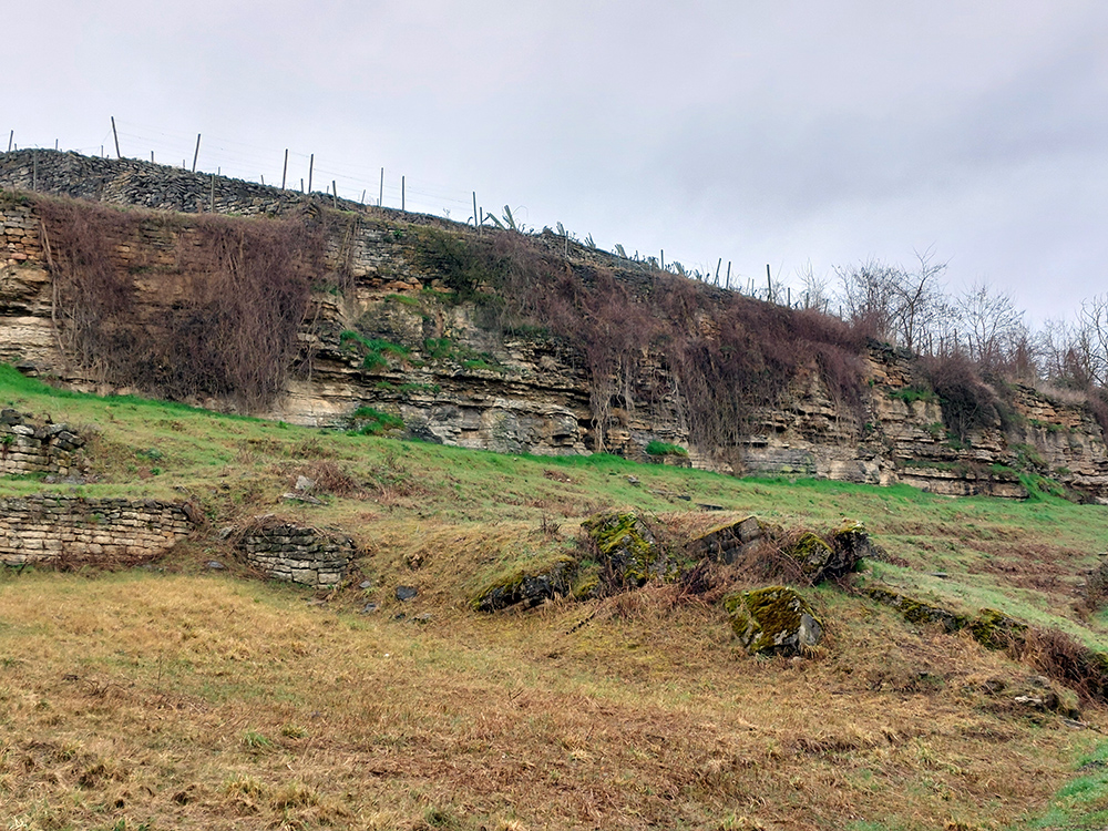 Hochschule Geisenheim